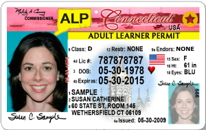 Adult Driver Permit